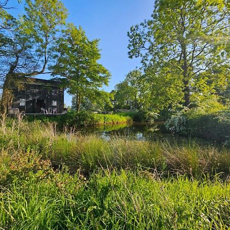 Appartamento The Water Shack - Amazing Tiny House Retreat Woodbridge Esterno foto